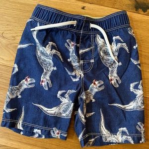 Old Navy Swim Trunks